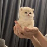 Какие-то смешнявки