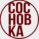 Институт СосновКа: Дизайн интерьеров