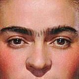 Брови Мендель