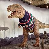 Культура коммуникаций