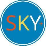 SKY + | Торговля на валютном рынке