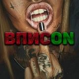 ВПИСON