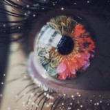 Эффективный наблюдатель 5D