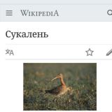 Артемка лайф