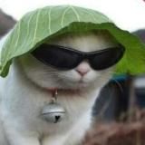 Отзывы заработок | Demfi