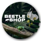 Beetle Shop🐍🕷🦎🦗🐜
