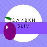 СЛИВЫ КУРСОВ