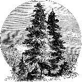 Секта Plantators