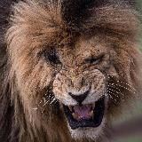 Мужские Сладости