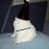 Фу пашлятена