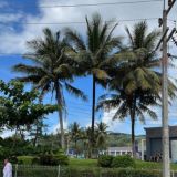 Thailand Phuket Chat