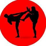 ДНЕВНИК БОЙЦА