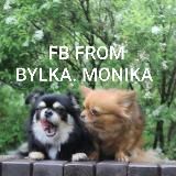 Фотобатлы от Булки/Моники