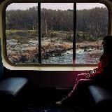 Куда летишь?