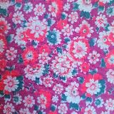 Бакча/Кашапов