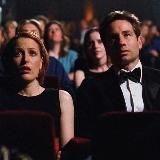 киноводство