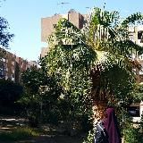 🌴Там ,где пальмы🌴