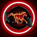 Резерв🔥Fire Big Drain | Black Курсы | VIP Курсы Фриланс