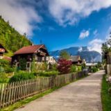 Михалово Контакты