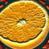 КУЛЬТОВЫЙ РЕСТОРАН Т-ОЧКА (ТОЧКА, ТЧК)