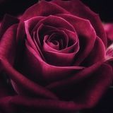 "Как завоевать ребенка"