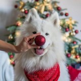 Полезности♥️