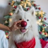 Полезности♥️