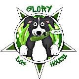 𝗚𝗟𝗢𝗥𝗬 𝗗𝗢𝗚 𝗛𝗢𝗨𝗦𝗘