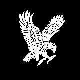 ФИНАНСЫ, ПОЛИТИКА, БИЗНЕС