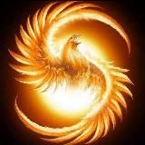 МАГИЯ ТАРО с Олесей