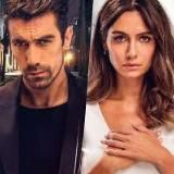 Чёрно-белая любовь