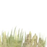 Разговоры на Поляне