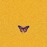 Челики ❤️🔥