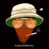 VladimirBinary☑️