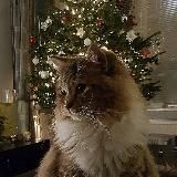 ~Задний фон для видео~