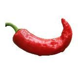 Volunteer - Криптобудни. Дневник копитрейдера.