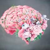 Курсы школы "Мега мозг"