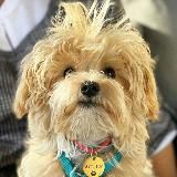 МУЛЬТличности