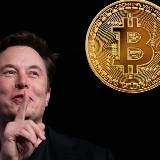 Маск Биткоинович