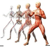 ❗ЛФК ФИТНЕС ДИЕТОЛОГИЯ РЕАБИЛИТАЦИЯ МАНУАЛЬНАЯ