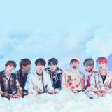 🕸𝙴𝚖𝚎𝚛𝚊𝚕𝚍 𝙵𝚞𝚛𝚢🕸