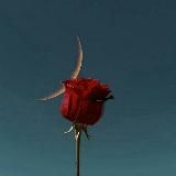 💗𝐅𝐎𝐑 𝐏𝐑𝐈𝐍𝐂𝐄𝐒𝐒|𝐆𝐑💗