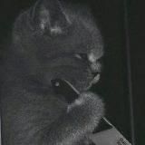 Обращаем внимание не на то