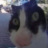 Че там в мире?