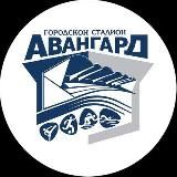 Городской стадион "Авангард"