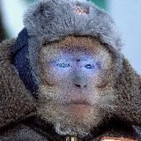 🍺 Штурмослав Ростов 🦞