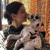 gifs from валкеr$