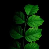 "Здесь и Сейчас"