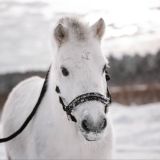 Герцено life✨