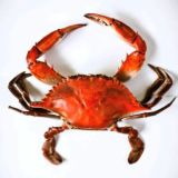 Золотой Крючок 🎣